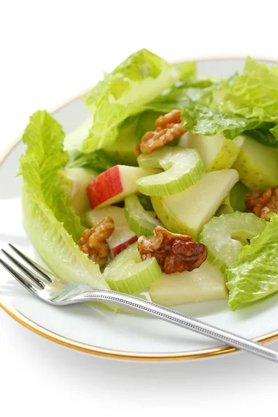 Waldorf Salade Appel Salade — Stockfoto