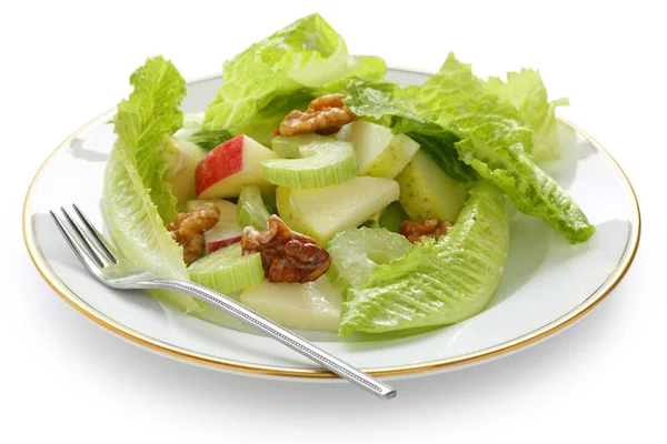 Waldorf Salade Appel Salade — Stockfoto