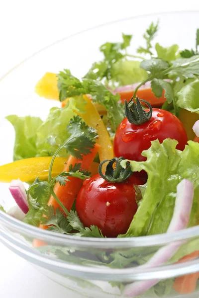 Mini Salade Légumes Aux Tomates Fraîches Sur Fond Blanc — Photo