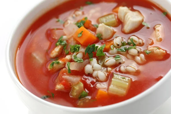 Soupe Légumes Tomate Isolée Sur Fond Blanc — Photo