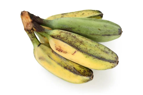迷你香蕉 森纳里塔香蕉 — 图库照片