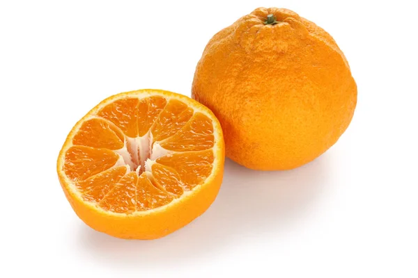 Dekopon Japán Kiváló Minőségű Citrusfélék — Stock Fotó