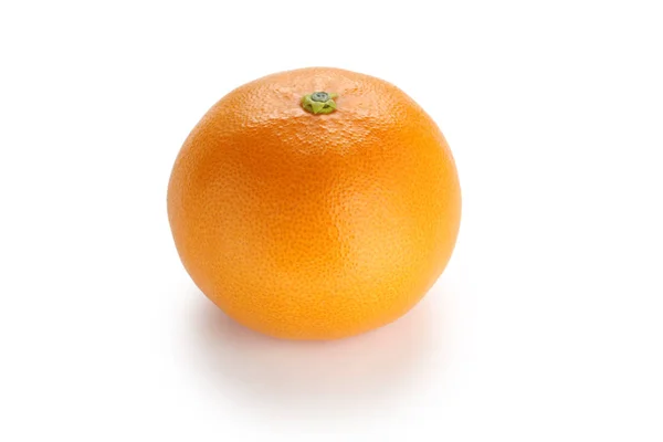 Setoka Naranja Fruta Cítrica Japonesa Alta Calidad — Foto de Stock