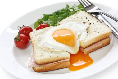 croque madame , kızarmış yumurta ile fransız sıcak jambon ve peynirli sandviç
