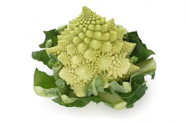 Romanesco brokoli, beyaz arka planda izole Roma karnabahar