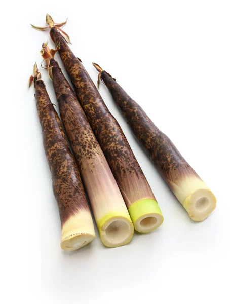 Japonés Madake Brotes Bambú Aislados Sobre Fondo Blanco — Foto de Stock