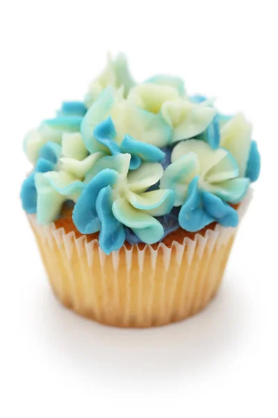 Zelfgemaakte Blauwe Bloem Cupcake — Stockfoto