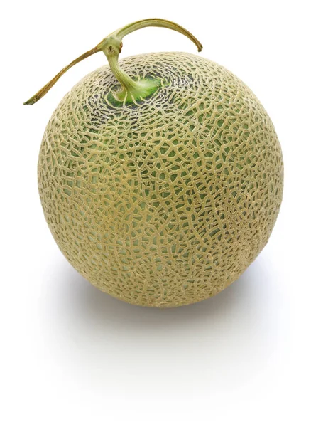 Japanische Luxus Melone Königsrubin — Stockfoto