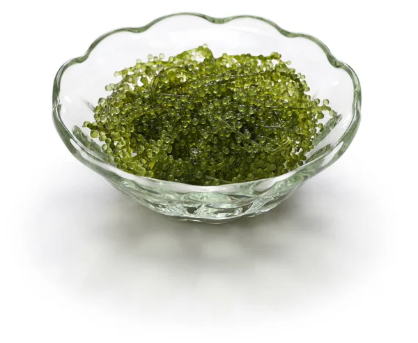 Umi Budo Caviar Verde Uvas Mar Algas Marinhas Algas Comestíveis — Fotografia de Stock