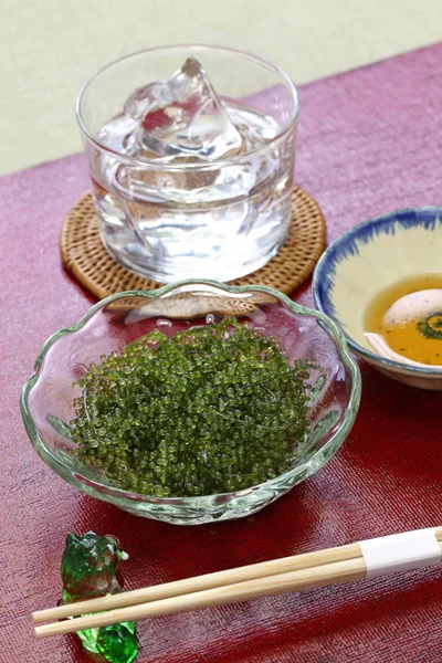 Umi Budo Green Caviar Sea Grapes Seaweed Edible Algae — Stock Photo, Image
