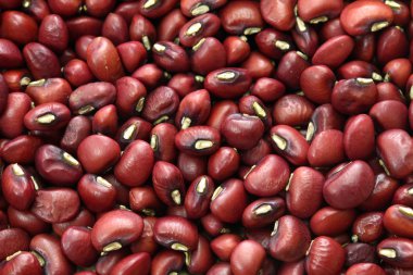 Japon kırmızı fasulye (Sasage ), arka plan