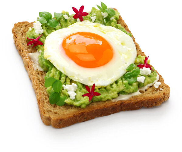 тост с авокадо открытый сэндвич на белом фоне
