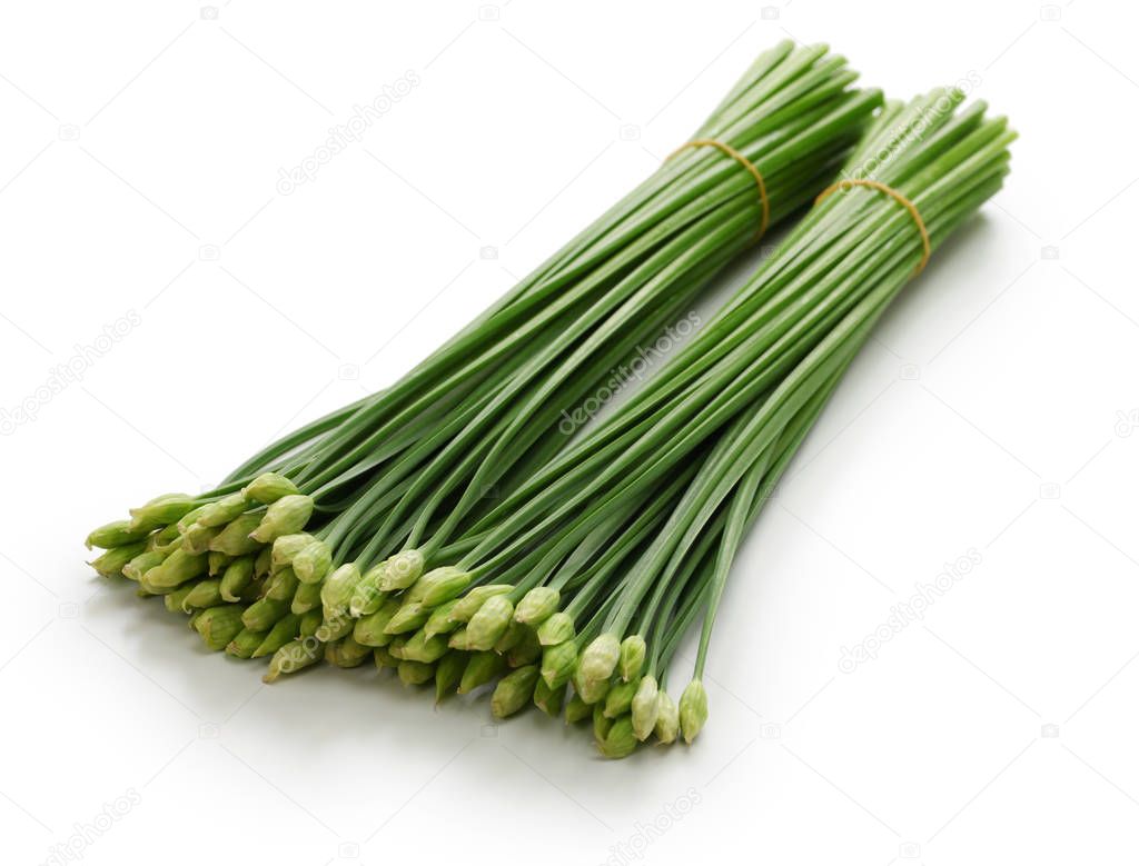 flowering garlic chives isolated on white background