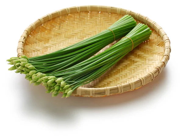 Flowering Garlic Chives Bamboo Basket — Stock Photo, Image