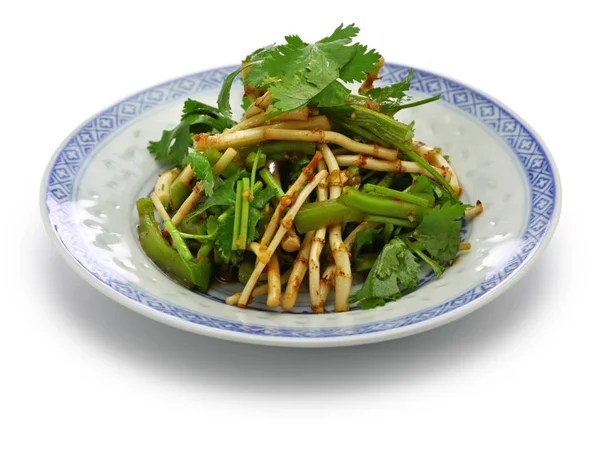 Chinese Zhe Ergen Salade Vis Mint Wortelsalade Guizhou Keuken — Stockfoto