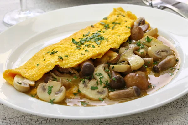 Fresh Homemade Mushroom Omelette — Stock Photo, Image