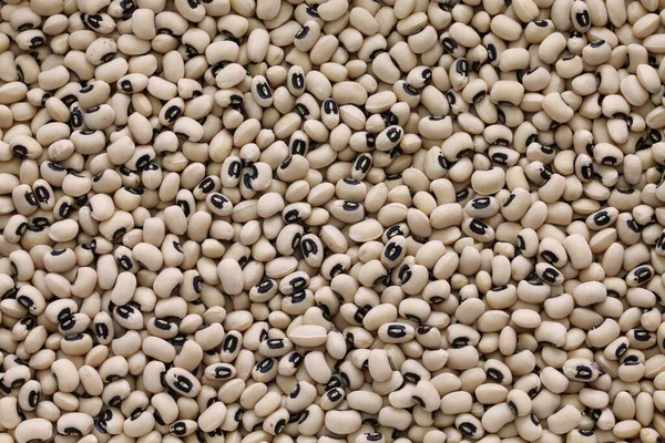 Black Eyed Peas Textured Background — Stock Photo, Image