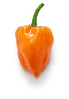 habanero hot chili pepper isolated on white background clipart