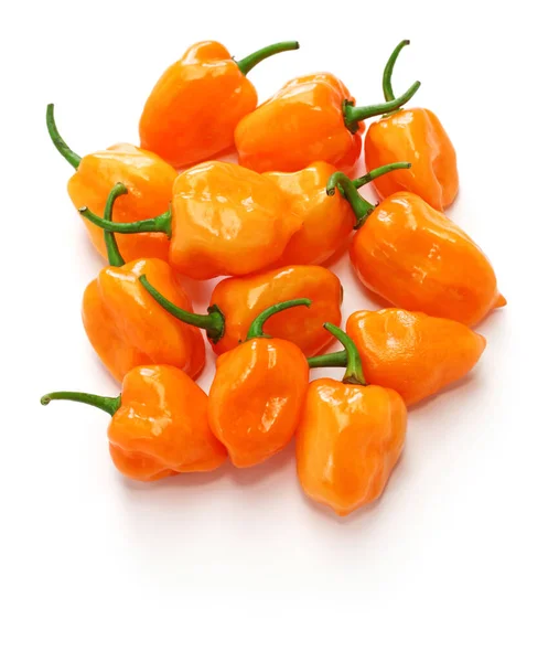 Habanero Scharfe Chilischote Isoliert Auf Weißem Hintergrund — Stockfoto