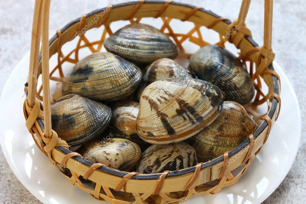 asari clams, Its a kind of clam thats popular in Japan.