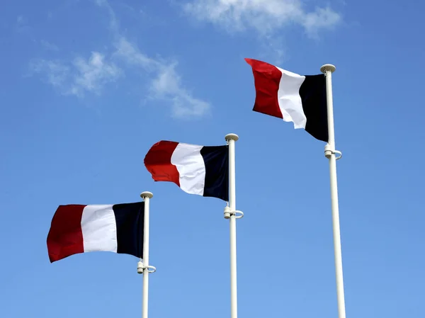 Трьох Національних Прапорів Франції Ясне Блакитне Небо — стокове фото