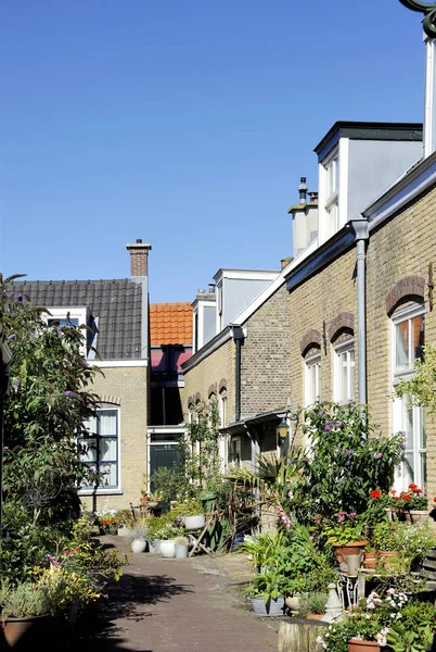 Gatuscen Med Hus Och Främre Trädgårdar Gamla Stan Scheveningen Haag — Stockfoto