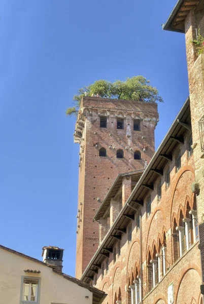 Башня Гиниджи Деревья Крыше Ясным Синим Небом Лукке Италия — стоковое фото