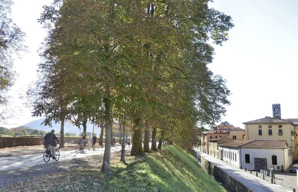 Lucca Italy September 2018 Walking Path Medieval City Wall Lucca — Stock Photo, Image