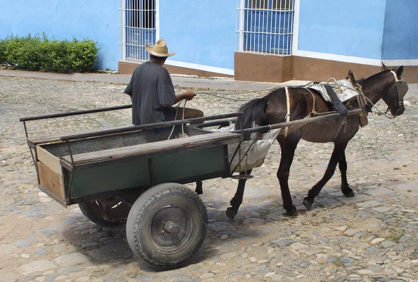 特立尼达和多巴哥 2017年8月10日 在特立尼达和多巴哥联合国教科文组织世界遗产老城的鹅卵石街道上骑马车的男子 — 图库照片