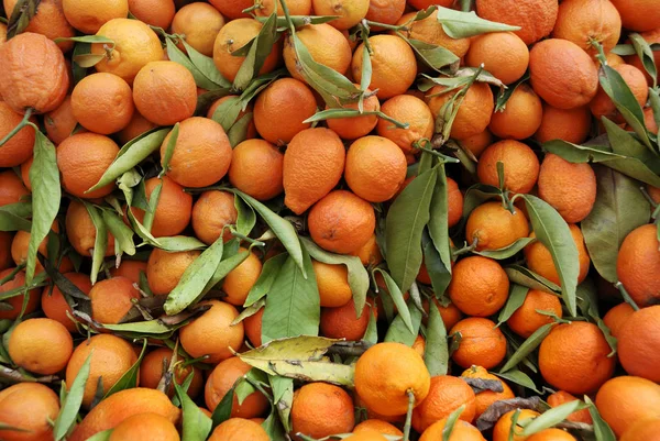 Taze Mandarin Portakal Veya Mandalina Manav Bir Yığın Üzerinde — Stok fotoğraf