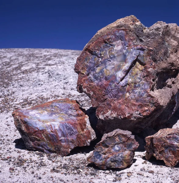 Petrified Wood Parque Nacional Floresta Petrificada Eua Com Céu Azul — Fotografia de Stock