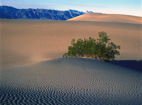 Formazioni Dune Sabbia Nel Parco Nazionale Della Valle Della Morte — Foto Stock