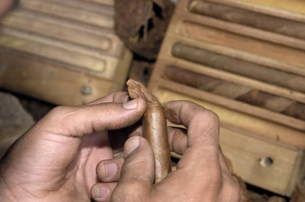 Gros Plan Des Mains Fabriquant Cigare Partir Feuilles Tabac Fabrication — Photo