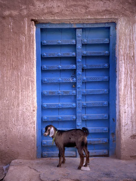 Tradisional Tua Pintu Kayu Sanaa Yaman Dengan Kambing Muda Berdiri — Stok Foto