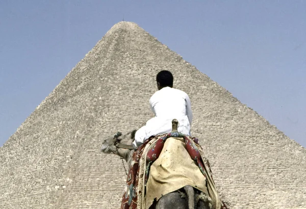 Gizeh Egypt September 2015 Camel Rider Pyramids Gizeh Egypt Clear — Stock Photo, Image