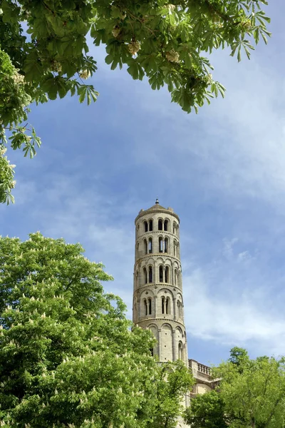 聖テオドリット大聖堂の窓塔 — ストック写真