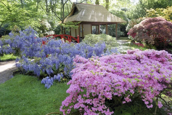 Jardim Japonês — Fotografia de Stock