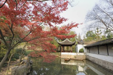 Humble Administrator's Garden, Suzhou, Çin
