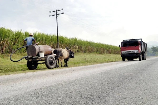 Carro tirado por caballos usando una autopista en Cuba — Foto de Stock