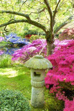 Çiçek açan Japon bahçesi