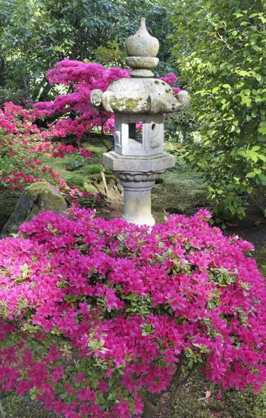 Kvetoucí japonská zahrada — Stock fotografie