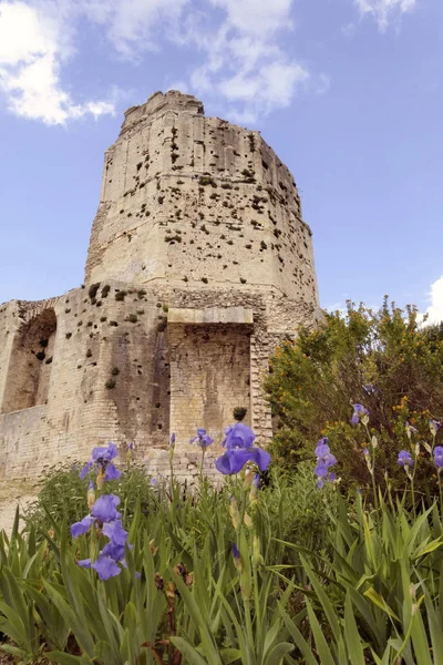 Tour Magne, Magne Tower, N presidentmes, France — стоковое фото