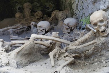 Kopya iskeletler, cesetlerin kıçta bulunduğu pozisyonda