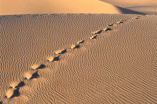 Voetstappen Het Mesquite Sand Dunes Death Valley National Park Californië — Stockfoto