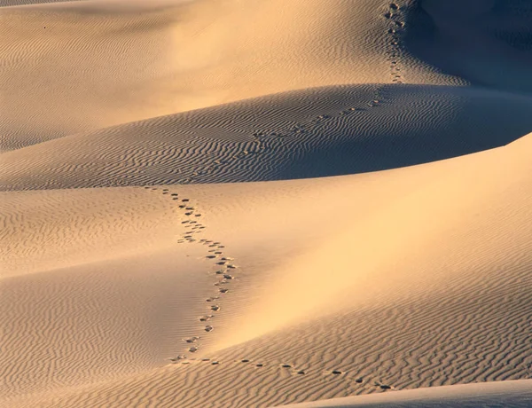 Voetstappen Het Mesquite Sand Dunes Death Valley National Park Californië — Stockfoto