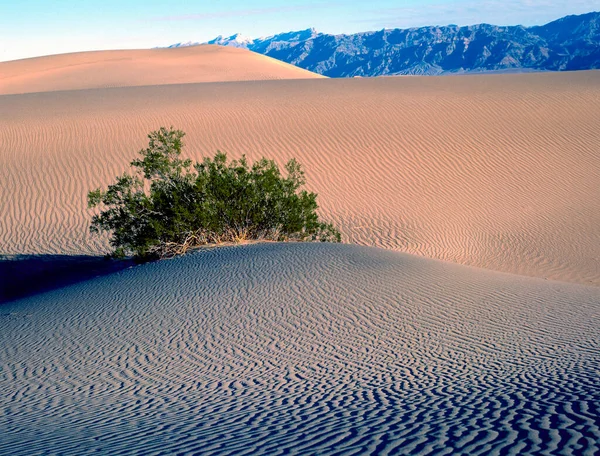 Mesquite Sand Dunes Death Valley National Park Californië Usa — Stockfoto