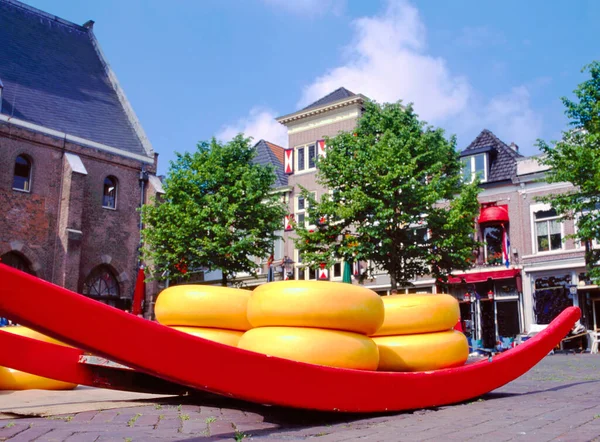 Rondas Queso Trineo Alkmaar Cheese Market Waagplein Square Holanda Holanda —  Fotos de Stock