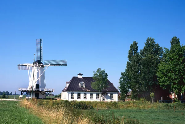 Paisaje Holandés Típico Con Granja Molino Viento Viejo Bajo Cielo —  Fotos de Stock