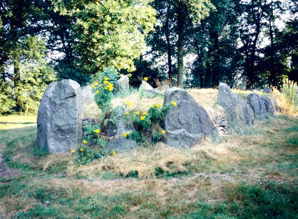 Förhistoriska Dolmen Hunnen Nederländska Schimmeresch Emmen Holland Nederländerna — Stockfoto