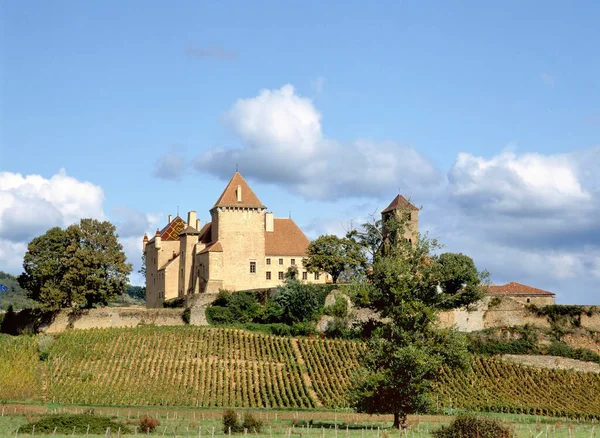 Kastély Pierreclos Egy Szőlő Burgundia Saone Loire Franciaország — Stock Fotó